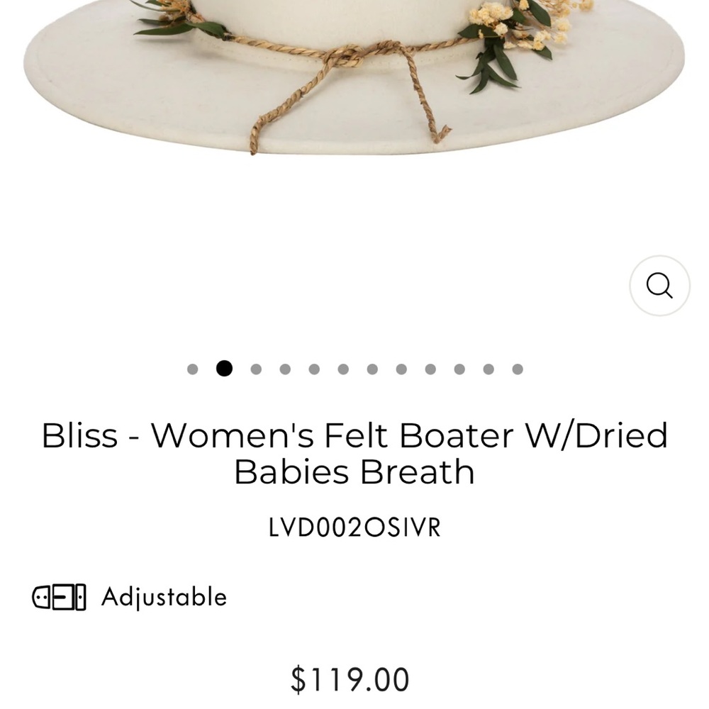 NWT Anthropologie San Diego Hat Co Boater Bliss - Picture 4 of 4